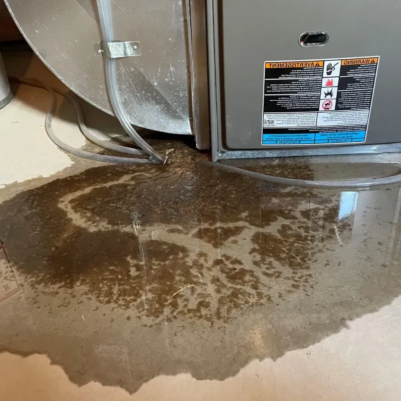 Pipe Burst and Leak Restoration in Los Alamos, NM